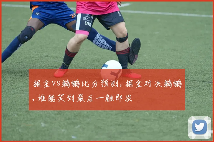 掘金vs鹈鹕比分预测,掘金对决鹈鹕,谁能笑到最后一触即发