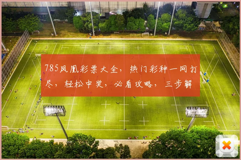785凤凰彩票大全，热门彩种一网打尽，轻松中奖，必看攻略，三步解锁