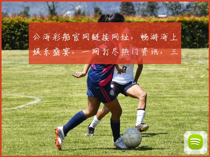 公海彩船官网链接网址，畅游海上娱乐盛宴，一网打尽热门资讯，三步轻松进入
