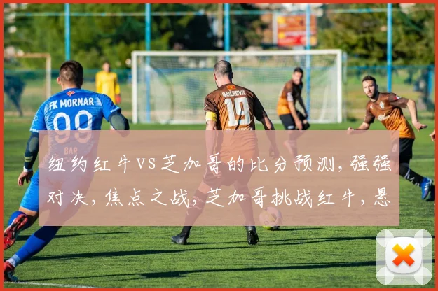 纽约红牛vs芝加哥的比分预测,强强对决,焦点之战,芝加哥挑战红牛,悬念重重